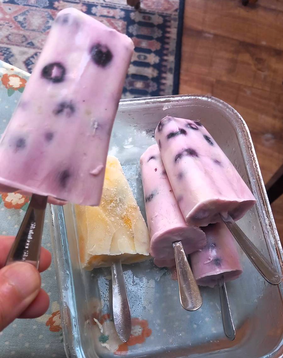 Turned out and ready to eat, blueberry and mango
